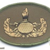 FRANCE EOD Explosive Ordnance Disposal badge, 2 stars (IEDD), cloth, pre-2011