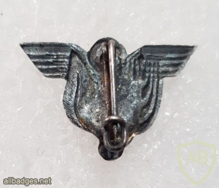 badge information page - Viewing Badge Administrative Squadron - Sde dov