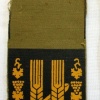 חטיבת הראל- חטיבה- 10 img41842