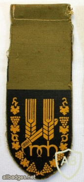 10th Harel Brigade img41842