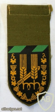 10th Harel Brigade under the command of the armored forces img41843