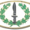 SPAIN Special Operations qualification breast badge
