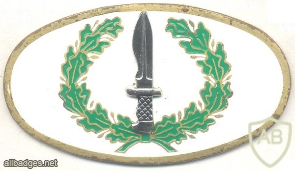 SPAIN Special Operations qualification breast badge img41853