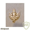 Unidentified badge- 5 img42106