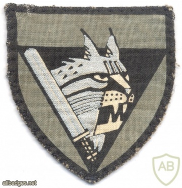 ESTONIA Border Guard sleeve patch, early 1990s img42100