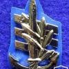 סמל ימי - צ'יפים וסגני מפקדים בספינות דבור