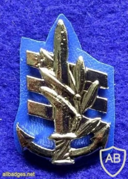 סמל ימי - צ'יפים וסגני מפקדים בספינות דבור img42268