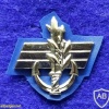 סמל ימי - צ'יפים וסגני מפקדים בספינות דבור img42269