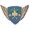 Unidentified badge img42361