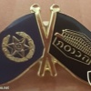 דגל משטרת ישראל ודגל הכנסת
