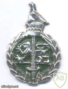 ZIMBABWE Prison Service (ZPS) beret badge img42468