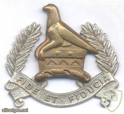 ZIMBABWE National Army Pay Corps cap badge img42466