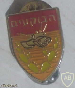 52nd HaBokim Armor Battalion img42495