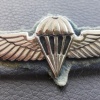 Parachute wings img42535