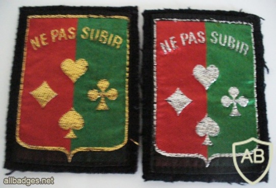 FRANCE 14th Light Armoured Division patch img42565