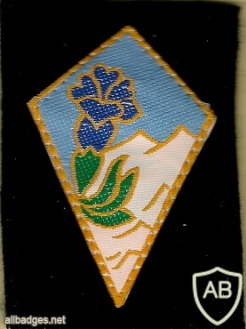 FRANCE 27th Mountain Infantry Brigade / Division patch img42569