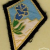 FRANCE 27th Mountain Infantry Brigade / Division patch img42570