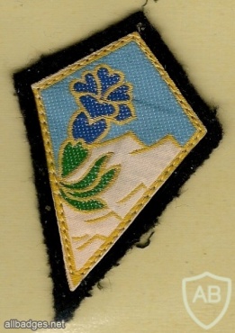 FRANCE 27th Mountain Infantry Brigade / Division patch img42570
