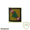 FRANCE 4th Armoured Division patch