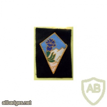 FRANCE 27th Mountain Infantry Brigade / Division patch img42568