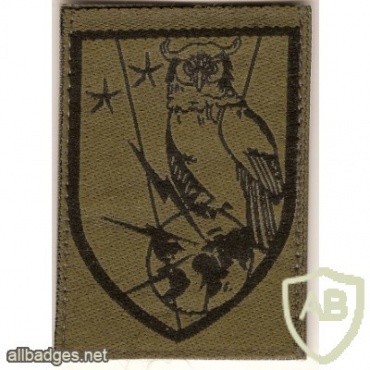 French Intelligence Brigade arm patch img42683