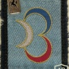 French 3rd Light Armoured Brigade arm patch img42671