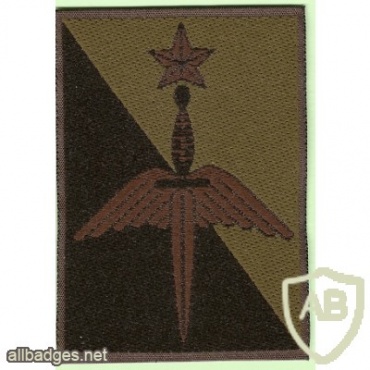 French Army Special Forces Command patch img42685
