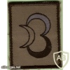 French 3rd Light Armoured Brigade arm patch img42673