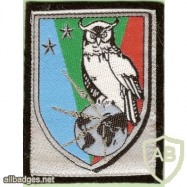 French Intelligence Brigade arm patch img42682