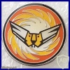 Orange Tail Knights Squadron - 107th Squadron img42885