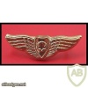 Pilot wings - Golden img42909