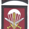 CZECH REPUBLIC 601st Special Forces Group sleeve patch, 2003-present