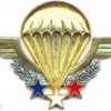 FRANCE Army Freefall Parachute Instructor Wings