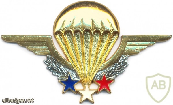 FRANCE Army Freefall Parachute Instructor Wings img43009