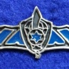Unidentified badge- 7