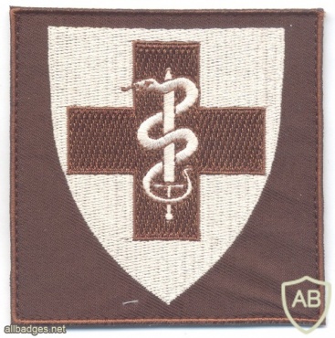 Norway - Norwegian Army Medical Units sleeve patch for international missions, 2017 img43078