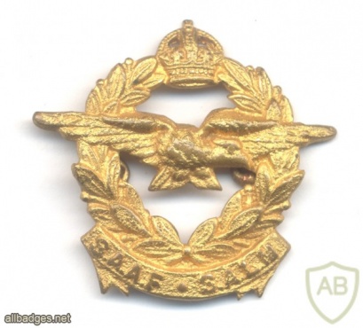 SOUTH AFRICA - South African Air Force Corps Collar Badge, 1926-1959 img43079