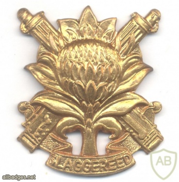 SOUTH AFRICA Defence Force (SADF) - Regiment Langenhoven Cap Badge img43081