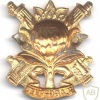 SOUTH AFRICA Defence Force (SADF) - Regiment Langenhoven Cap Badge img43082