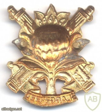 SOUTH AFRICA Defence Force (SADF) - Regiment Langenhoven Cap Badge img43082