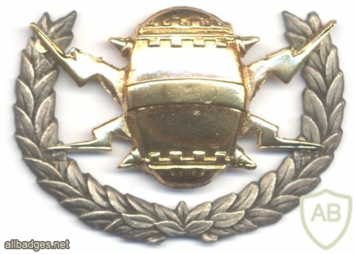 SOUTH AFRICA Navy Mine Counter Measures qualification badge img43114