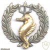 SOUTH AFRICA Navy Independent Ships Crew qualification badge