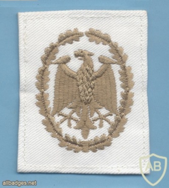 GERMANY Navy - Military Proficiency Badge - Class I (bronze), white cloth img43326