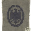 GERMANY Bundeswehr - Military Proficiency Badge, subdued, cloth img43332
