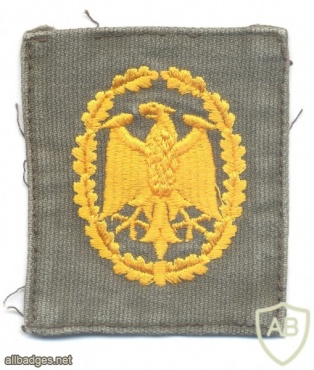 GERMANY Bundeswehr - Military Proficiency Badge - Class III (gold), olive green cloth img43330