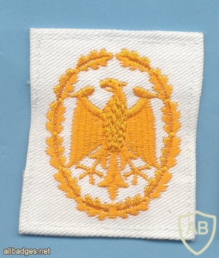  GERMANY Navy - Military Proficiency Badge - Class III (gold), white cloth img43328