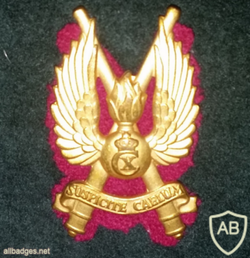 Denmark Zealand Air Defence Regiment cap badge img43360