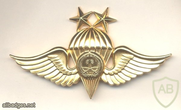 SAUDI ARABIA Army Parachute qualification wings, Class II, Gold, 1979-1980 img43348