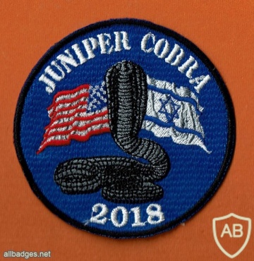 JUNIPER COBRA 2018 תרגיל ישראלי אמריקאי ג'ניפר קוברה- 2018 img43354