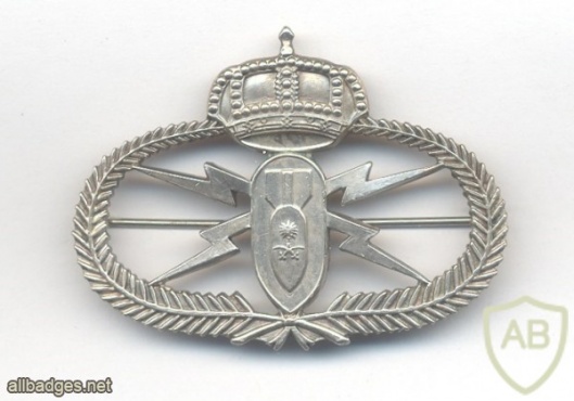 SAUDI ARABIA Explosive Ordnance Disposal EOD badge, full size, pinback img43352